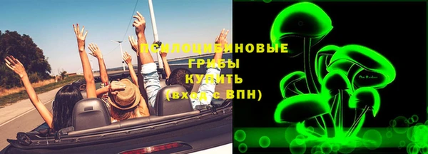 ГАЛЛЮЦИНОГЕННЫЕ ГРИБЫ Кинешма