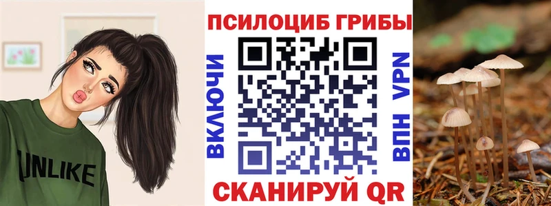 Купить закладки  Всеволожск  Псилоцибиновые грибы MAGIC MUSHROOMS 